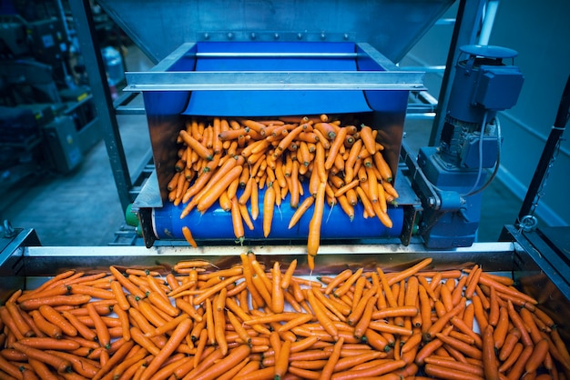 Innovative Automation Trends in the Food Processing Industry
